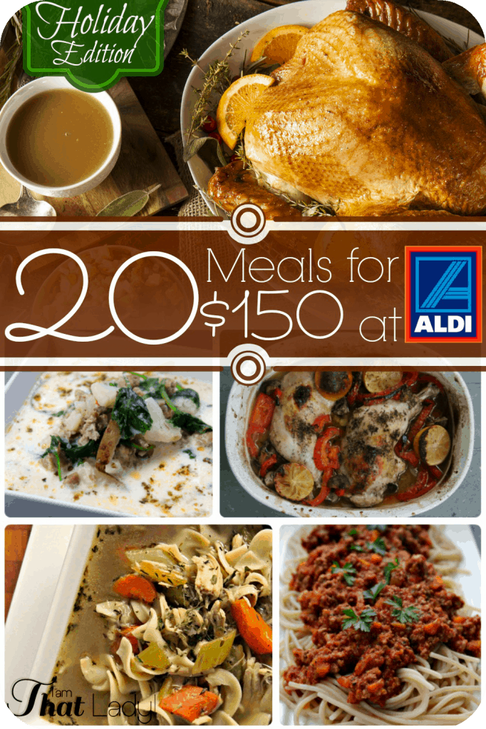 Healthy Menu Plan: 20 Meals For $150 At Aldi - Includes Thanksgiving ...