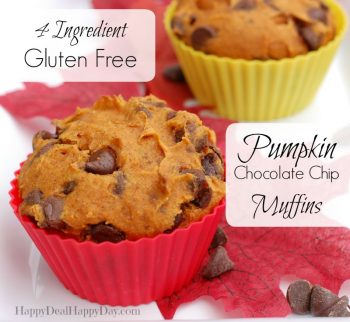 4 Ingredient, Gluten Free, Pumpkin Chocolate Chip Muffins