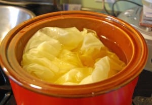 Silk In Crock Pot