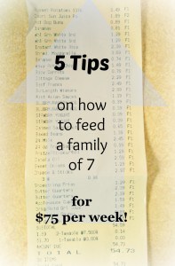 5 Tips on How To Feed A Family of 7 for Just $75 a Week! Plus Free Printable Meal Planning Guide Worksheet! This is great for meal planning and grocery budgeting!