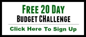 Budget Challenge Sign Up Button 2