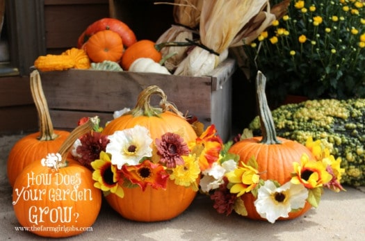 Fall Frugal Decor Ideas