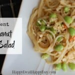 5 Ingredient Thai Peanut Lo Mein Salad Horizontal 150x150
