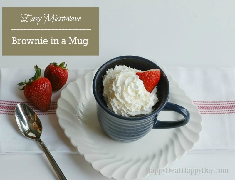 90 Microwave Brownie in a Mug 