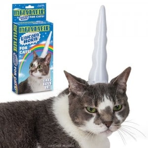 inflatable-unicorn-horn-300x300