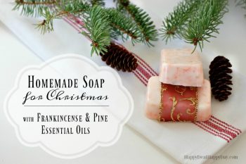12 Easy Melt and Pour Christmas Soap Recipes 