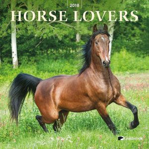 Gift Guide: 10 Gift Ideas for the Horse Lover in your Life! | Happy ...