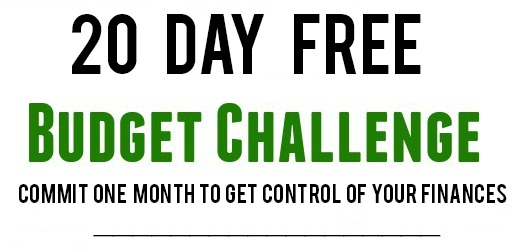 20 Day Free Budget Challenge Text