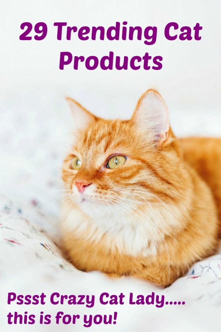29 Trending Cat Products Crazy Cat Lady Products! Happy Deal