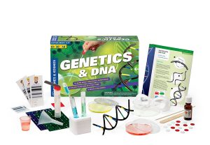 Top STEM Toys for Christmas Gift Ideas