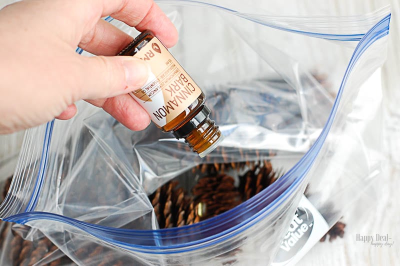 DIY Scented Pine Cones For The Holidays