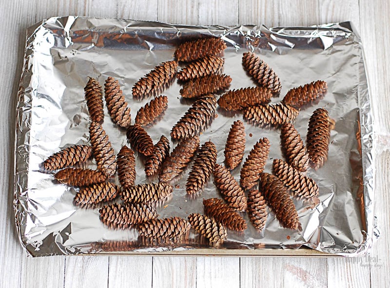 DIY Scented Pine Cones For The Holidays
