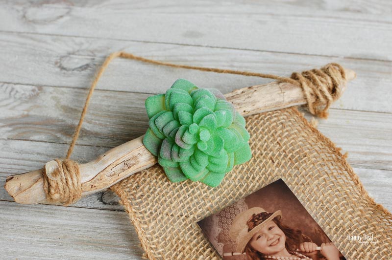 DIY Photo Print Wall Hanging with Faux Succulents and Burlap