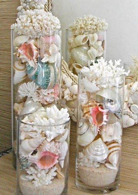 sea shells in vases