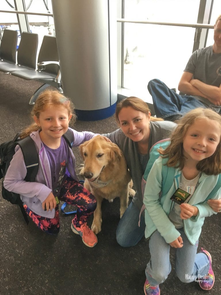 traveling to colorado - meeting therapy dog in airport