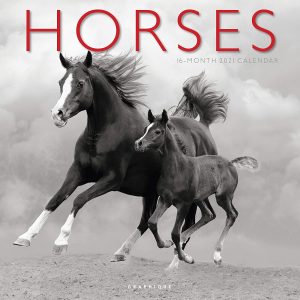 horses 2021 calendar 