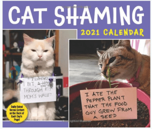 Cat Shaming 2021 300x255
