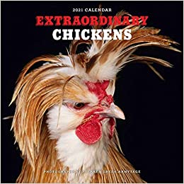 Extrordinary Chickens 2021