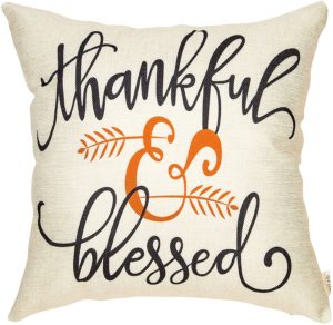 Thankful And Blessed Pillow Cover 300x292