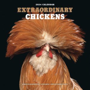 Extraordinary Chickens 2024 300x300