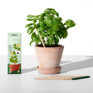 Sproutworld Seed Pencils