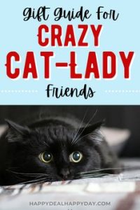 Alt text: "Gift guide cover featuring a close-up of a black cat with wide eyes. The playful text reads 'Gift Guide for Crazy Cat-Lady Friends' on a light blue background."