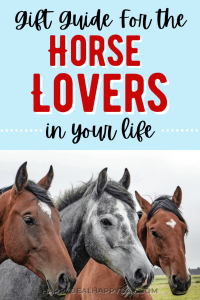 Text reads "Gift guide for the horse lovers in your life" above three horses standing in a field, conveying a sense of joy and fondness for horses.