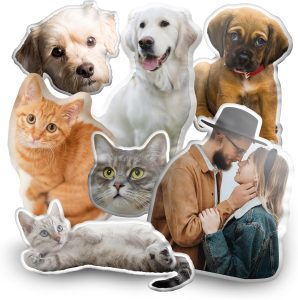 YH5BAEAAAAALAAAAAABAAEAAAIBRAA7