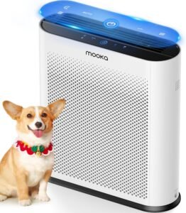 YH5BAEAAAAALAAAAAABAAEAAAIBRAA7