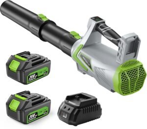 YH5BAEAAAAALAAAAAABAAEAAAIBRAA7