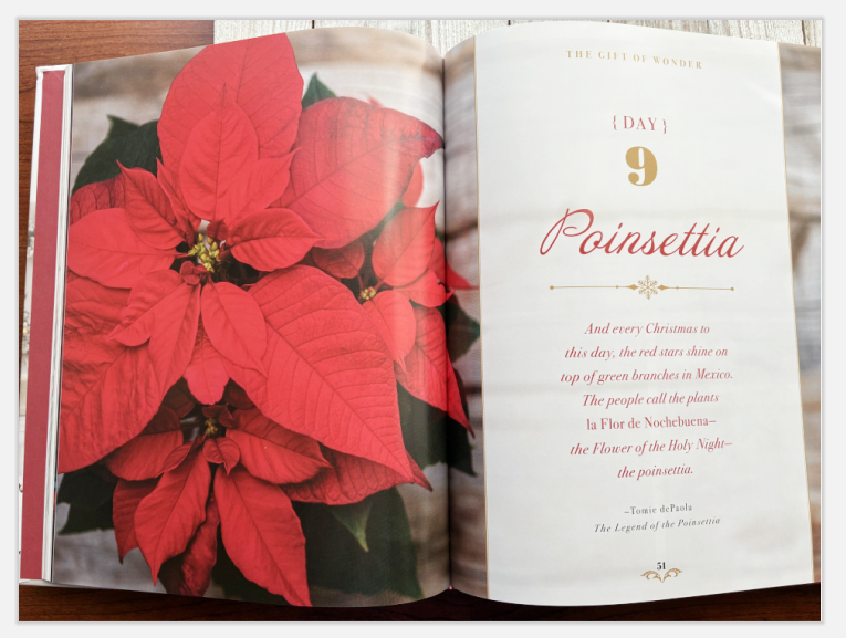 YH5BAEAAAAALAAAAAABAAEAAAIBRAA7