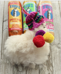 YH5BAEAAAAALAAAAAABAAEAAAIBRAA7